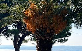 Crikvenica Right On The Beach